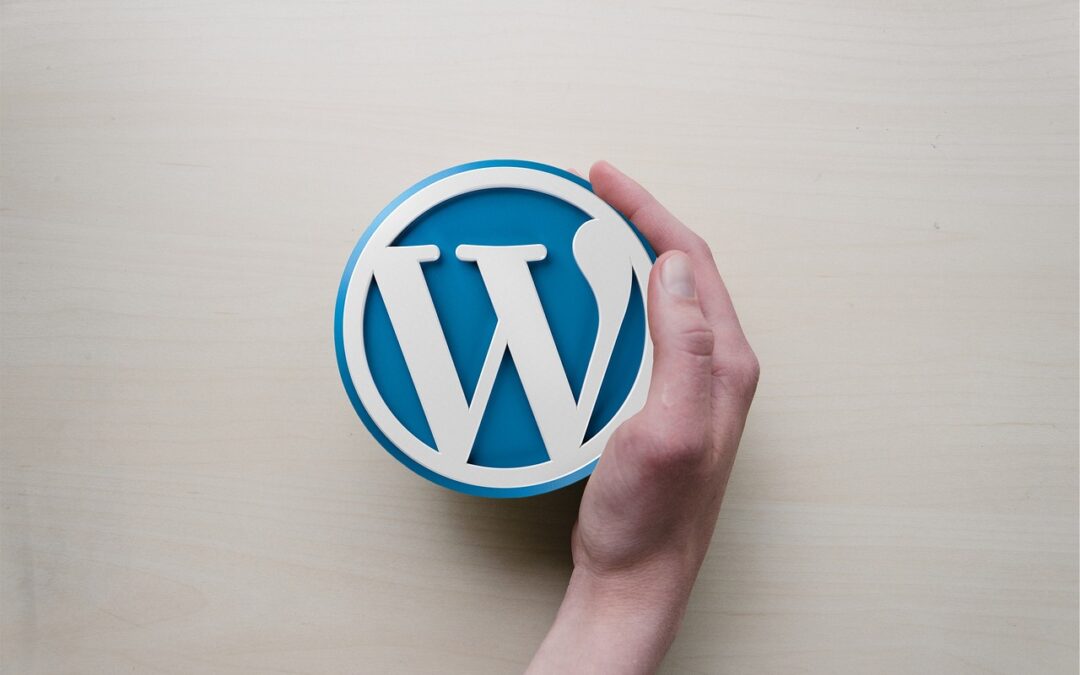 Managed WordPRess Websites – Want Your WordPress Site To Shine…